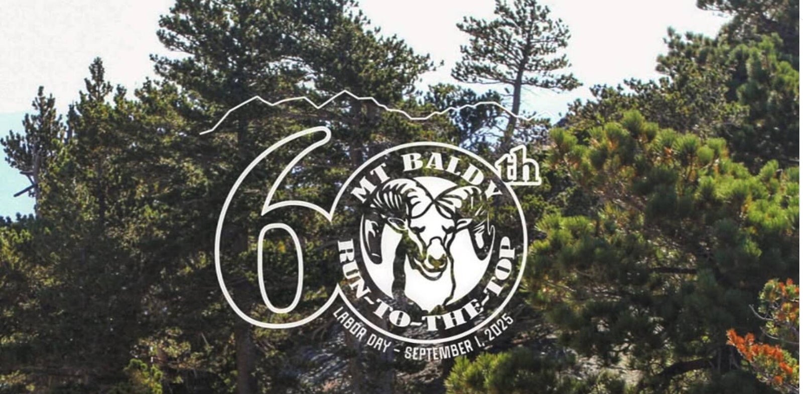 Run to the Top anniversary logo