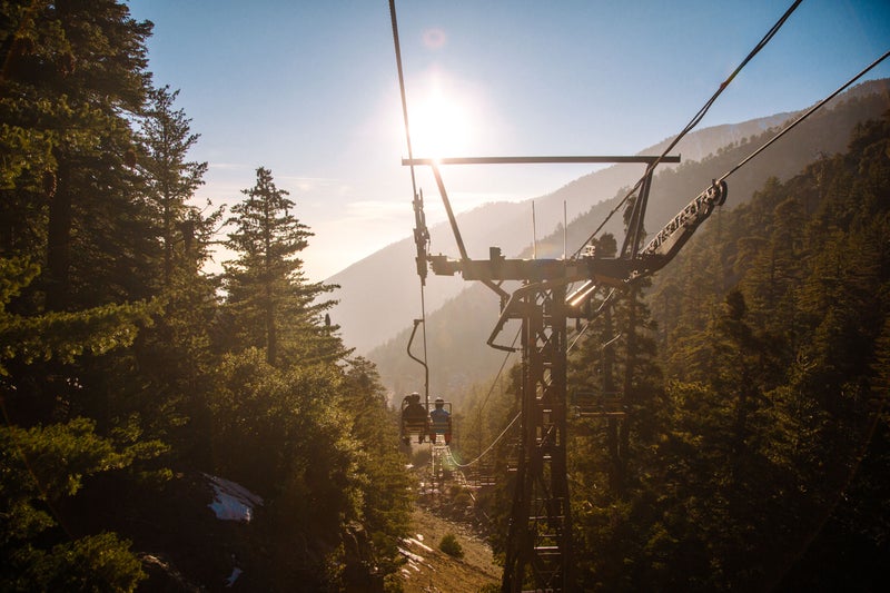 Sun through the pines over the Mt Baldy chairlift