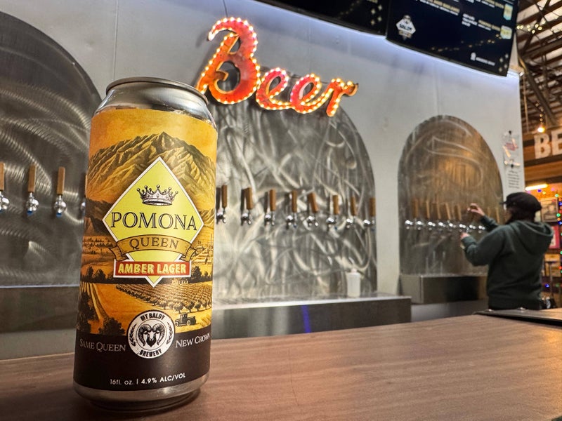 A can of Pomona Queen in front of the Baldy Brewery taproom